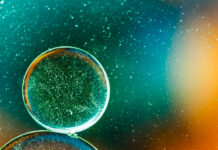 Biología: el increíble viaje de la vida, desde los átomos hasta los ecosistemas