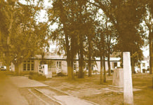 Escuela de Agricultura Quinta Normal: Semilla de Futuro