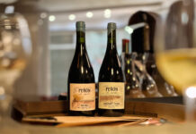 Peñón de Agrelo: dos expresiones del terroir mendocino