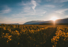 El encuentro del Malbec con su mejor versión