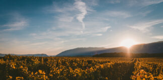 El encuentro del Malbec con su mejor versión