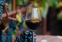 Malbec: la cepa olvidada en Europa que renació como emblema en argentina