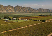 Pronóstico de Éxito, Finca la Seis Virtuoso