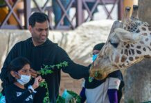 Dia del Animal: la ciencia confirma cómo los animales mejoran nuestra salud física y mental