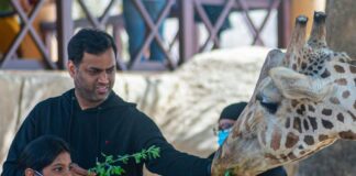 Dia del Animal: la ciencia confirma cómo los animales mejoran nuestra salud física y mental