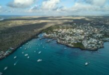 Ecoturismo: 6 lugares para descubrir y conservar el mundo natural