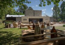 La Ruta del Vino Oceánico: el fenómeno que está transformando la costa atlántica argentina