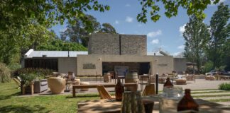La Ruta del Vino Oceánico: el fenómeno que está transformando la costa atlántica argentina