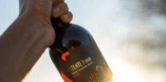 Patente X y el gran momento del vino cordobés