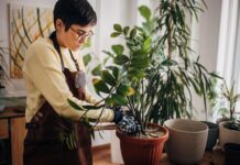 Lo que le pasa a tu cerebro cuando llenás tu casa de plantas reales (y por qué las de plástico no sirven)