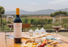 Reina por accidente: la historia del Cabernet Sauvignon