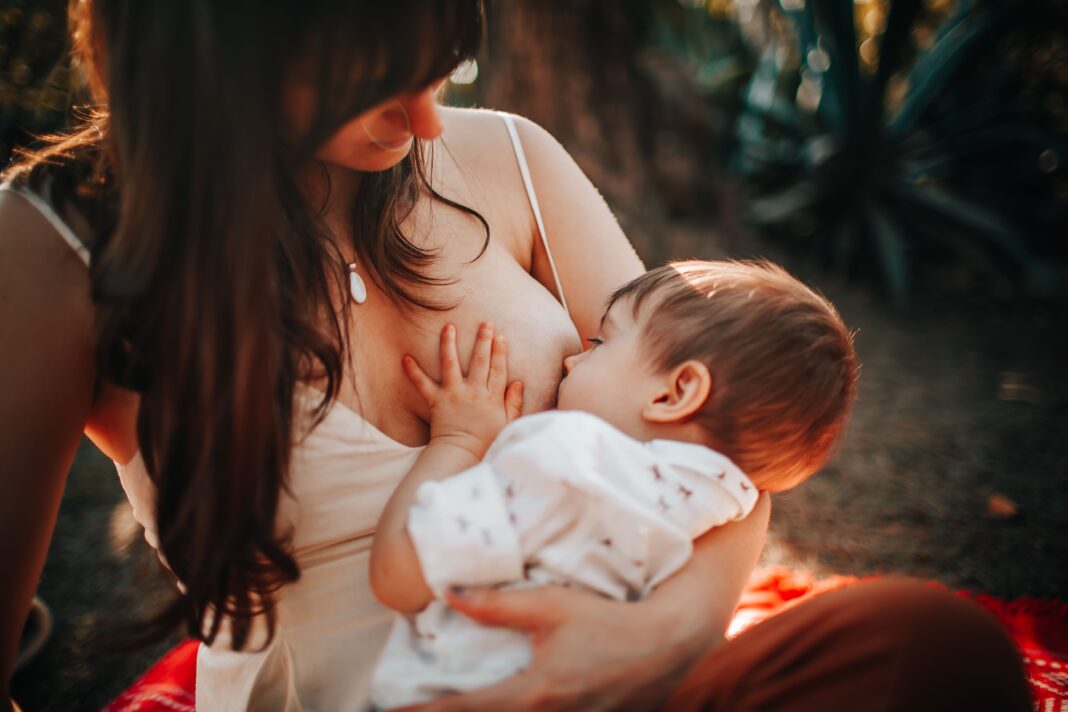 pexels-helenalopes-27175909
