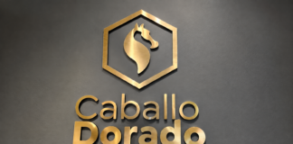 Caballo Dorado: el vino como experiencia