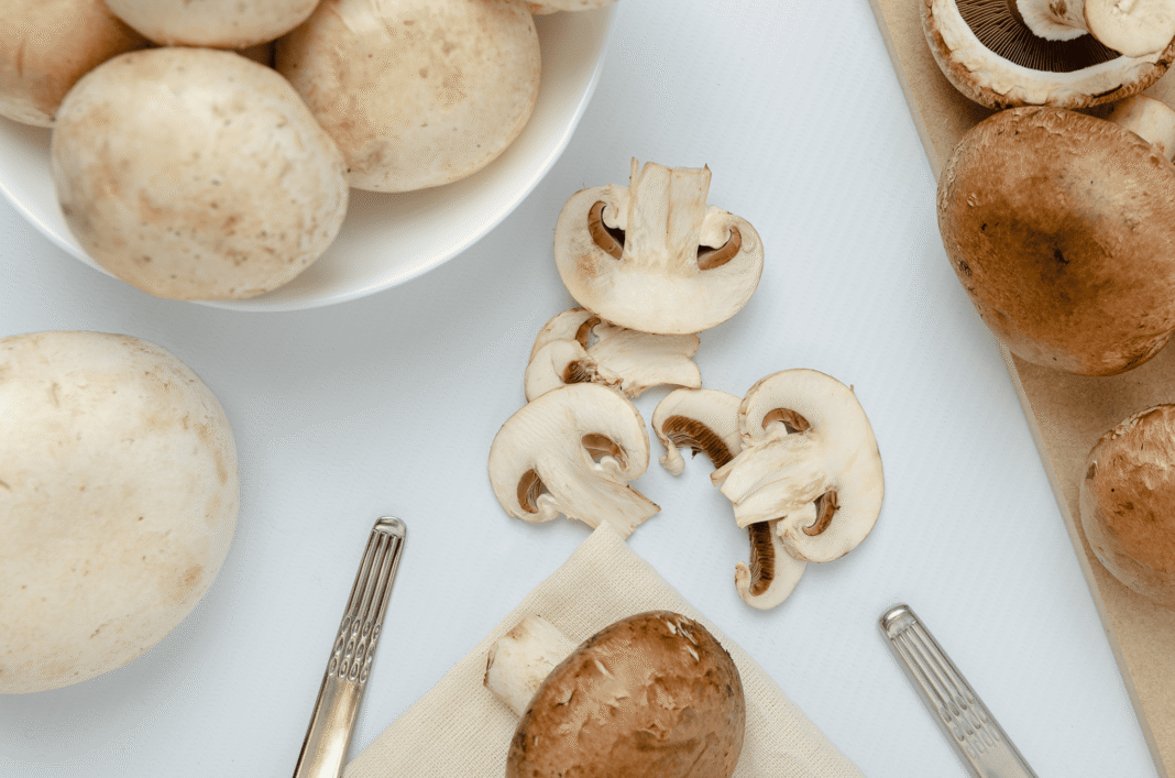 Día del Champignon - Hongos del Pilar 4